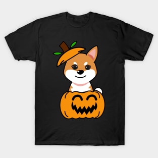 Funny orange dog is in a pumpkin T-Shirt